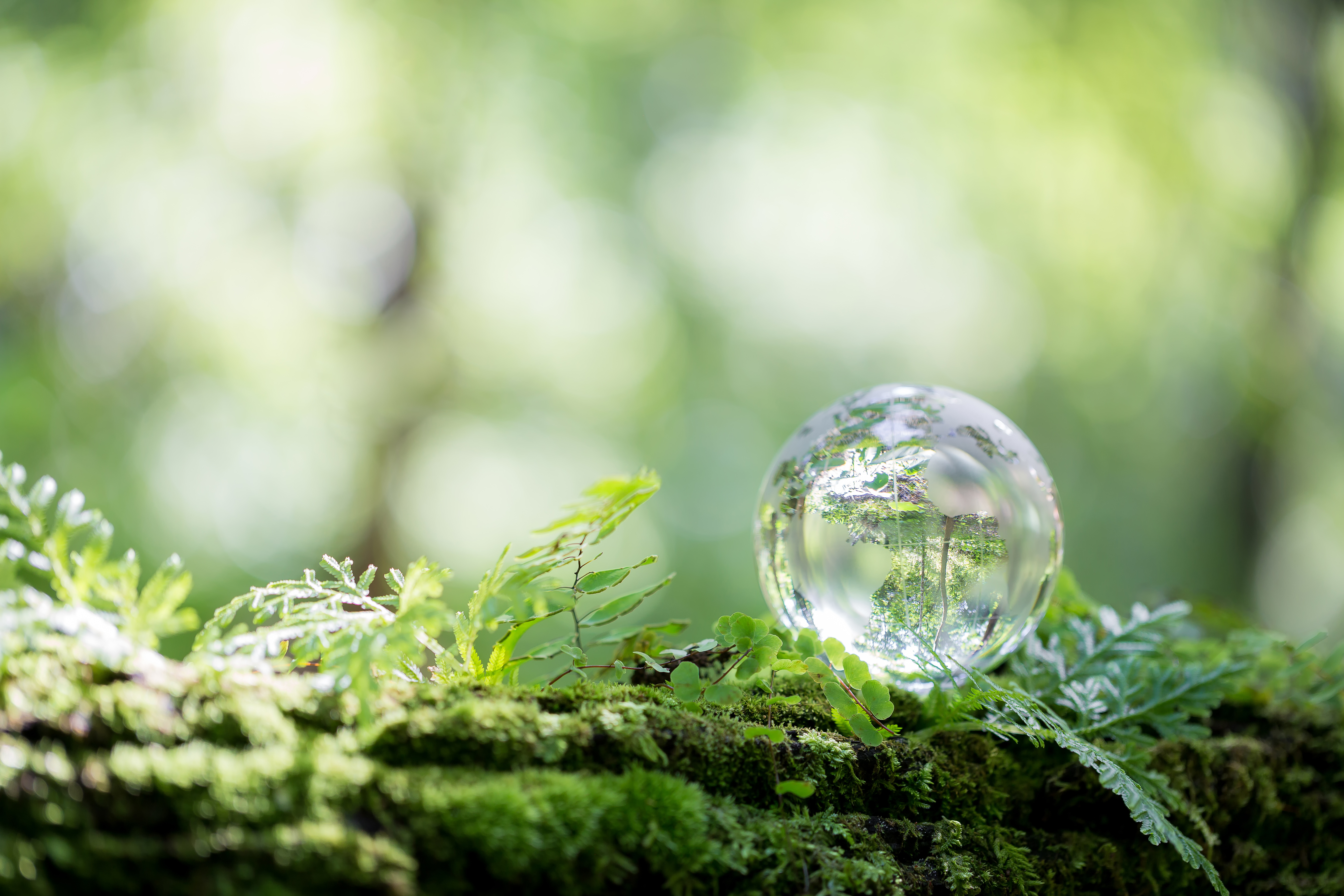 Nachhaltigkeit und Umwelt