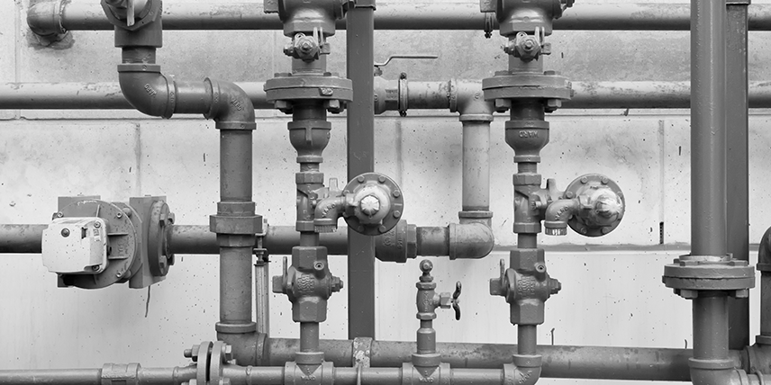 Mikroorganismen in Wasserleitungen
